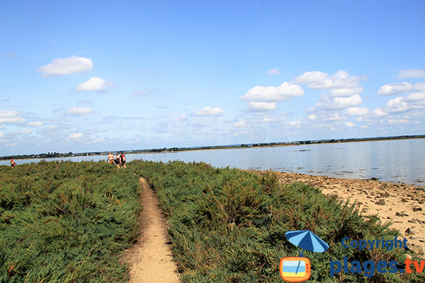 Access path to Bilhervé creeks